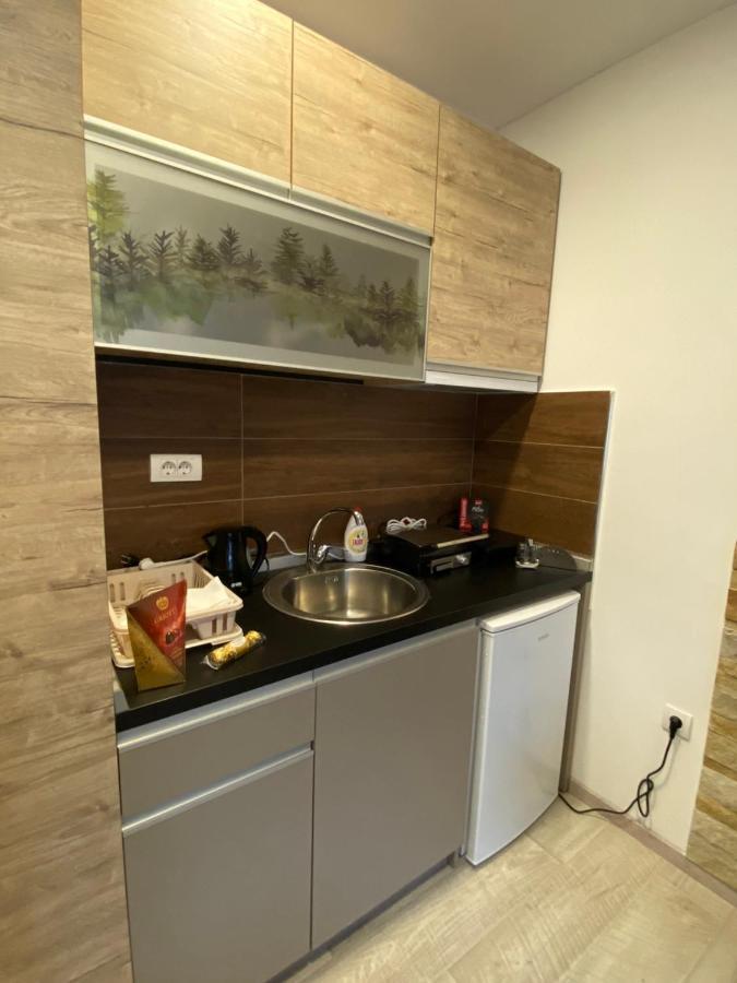 Kopaonik Apartmani Milmari - Katic Экстерьер фото